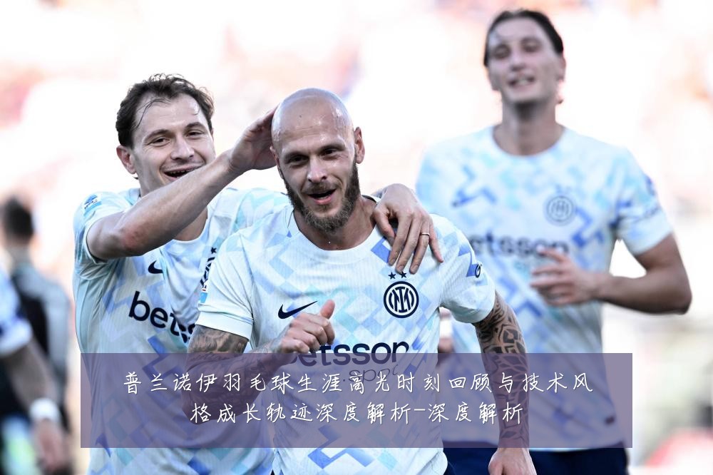 普兰诺伊羽毛球生涯高光时刻回顾与技术风格成长轨迹深度解析-深度解析